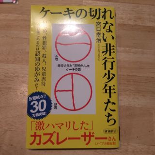 ケーキの切れない非行少年たち(ノンフィクション/教養)