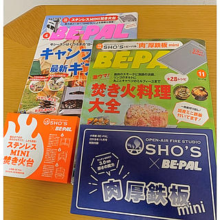 ショウガクカン(小学館)の(専用)BE-PAL(4月号、11月号)付録付き(趣味/スポーツ)