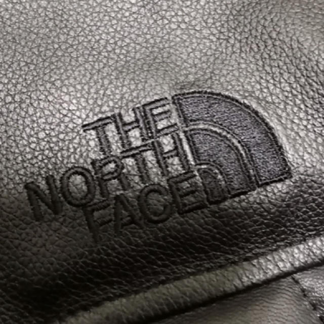 THE NORTH FACE(ザノースフェイス)のパープルレーベル レザー マウンテンダウンジャケット革M黒 メンズのジャケット/アウター(ダウンジャケット)の商品写真