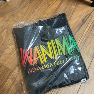 ワニマ(WANIMA)の値下げ！wanima パーカー(ミュージシャン)