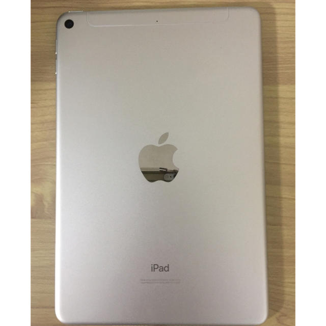 iPad mini5 wi-fi celler  SIMフリー化
