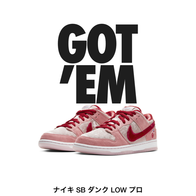 StrangeLove x Nike SB Dunk Low 28.5㎝