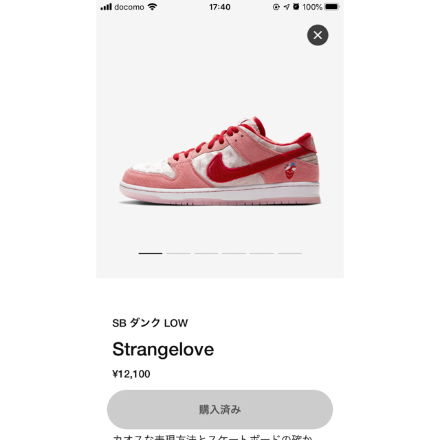 NIKE(ナイキ)のNIKE SB DUNK LOW STRANGELOVE  27.5 メンズの靴/シューズ(スニーカー)の商品写真