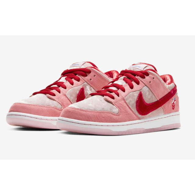 NIKE SB ダンク LOW  プロスケートボードシューズ