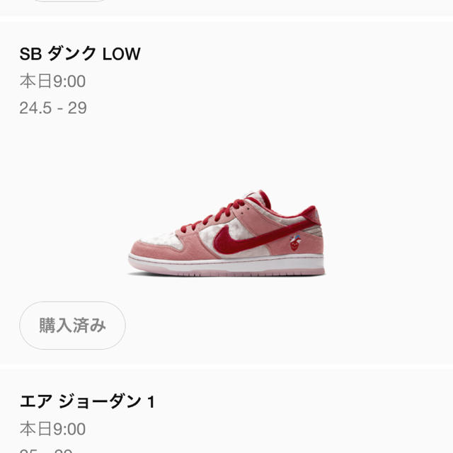 NIKE SB DUNK LOW PRO QS  STRANGE LOVE 新品