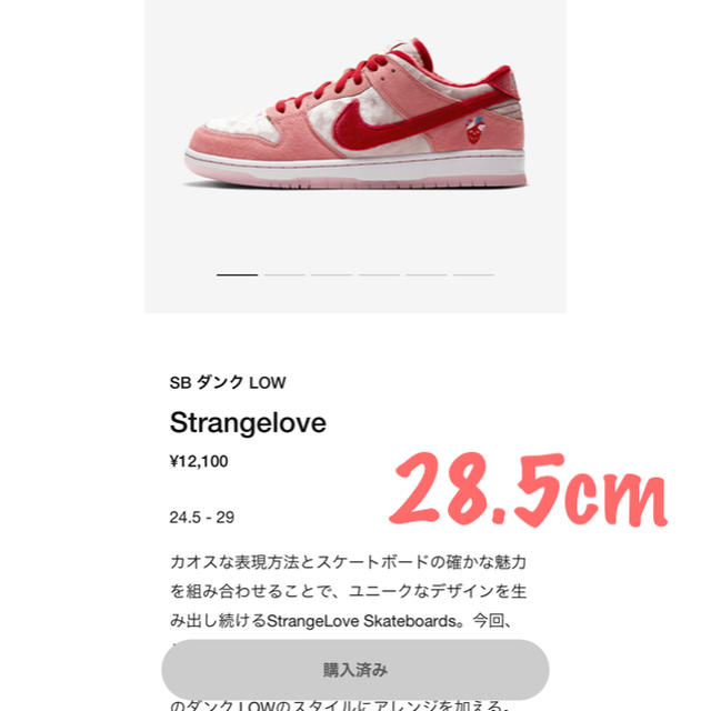 靴/シューズNIKE SB ダンク　LOW Strangelove