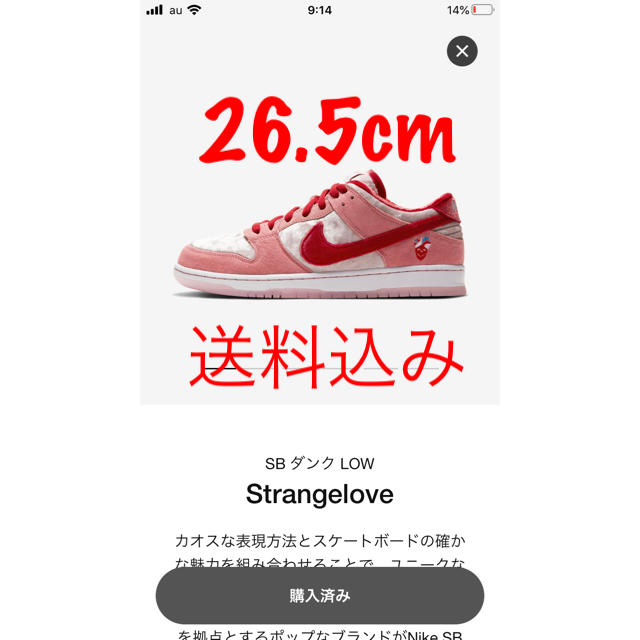 NIKE SB DUNK LOW PRO QS strange love靴/シューズ