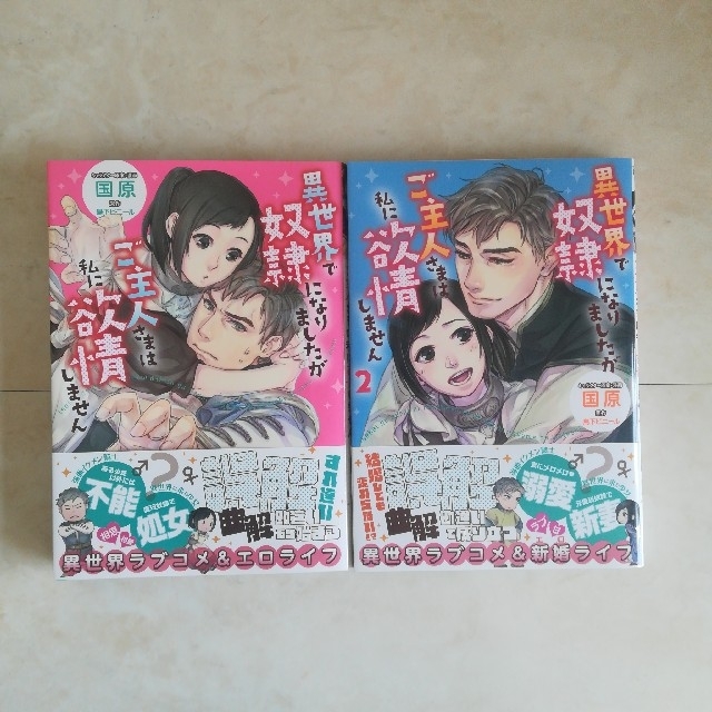 角川書店(カドカワショテン)の異世界で奴隷になりましたがご主人さまは私に欲情しません エンタメ/ホビーの漫画(女性漫画)の商品写真