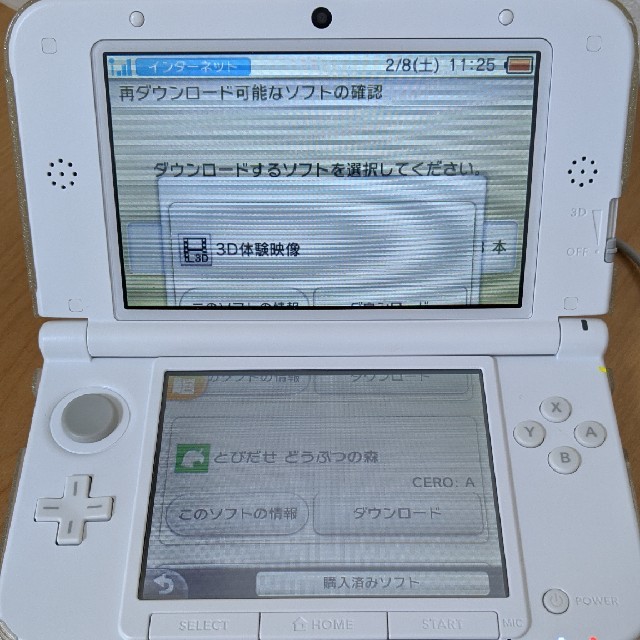 3DS  LL  どうぶつの森