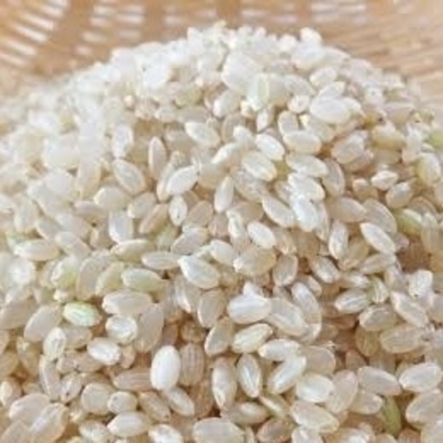 令和元年魚沼産コシヒカリ　玄米　米/穀物　お米　10kg