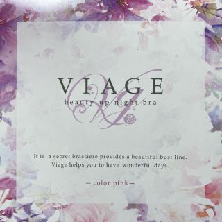 VIAGE  ヴィアージュ  ナイトブラ ・新品(ブラ)