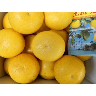 激安　高知産　訳あり大玉土佐文旦　約１０Ｋｇ　４L　家庭用(フルーツ)