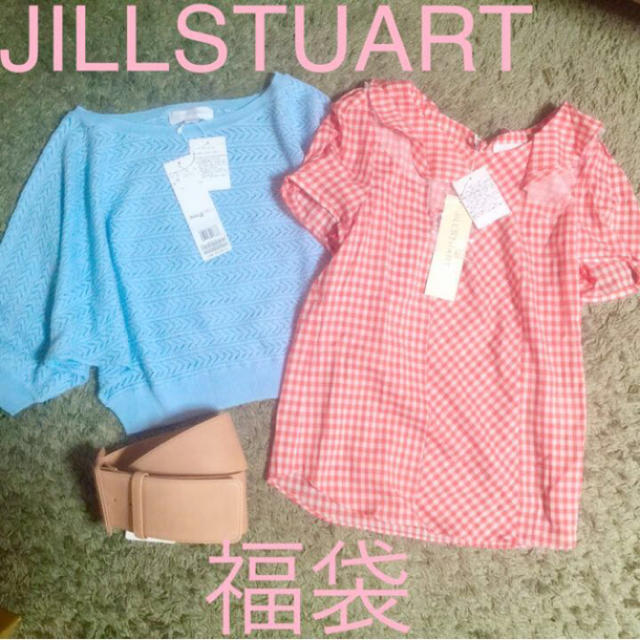 JILLSTUART(ジルスチュアート)のジルスチュアート　アパレル　夏物3点セット レディースのレディース その他(セット/コーデ)の商品写真