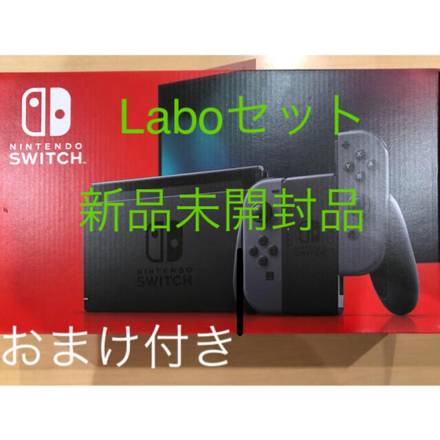 家庭用ゲーム機本体Nintendo Switch ニンテンドースイッチ 本体  Laboセット