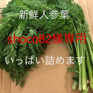 shoco82様専用です！(野菜)