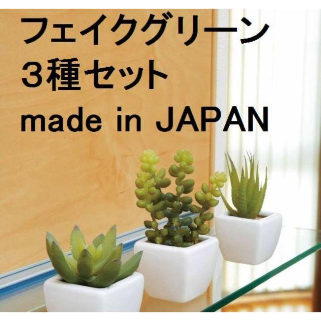 日本製 フェイクグリーン/観葉植物【多肉植物 ３種セット】高さ8cm