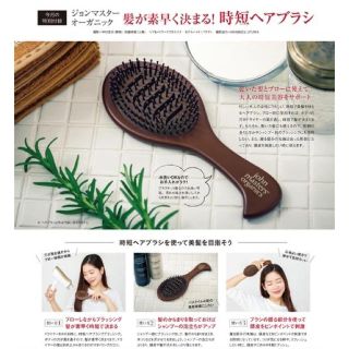 ジョンマスターオーガニック(John Masters Organics)のInRedインレッド3月号付録 時短ヘアブラシ (ヘアブラシ/クシ)