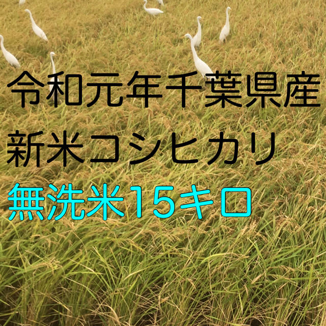 コシヒカリ無洗米15キロ食品