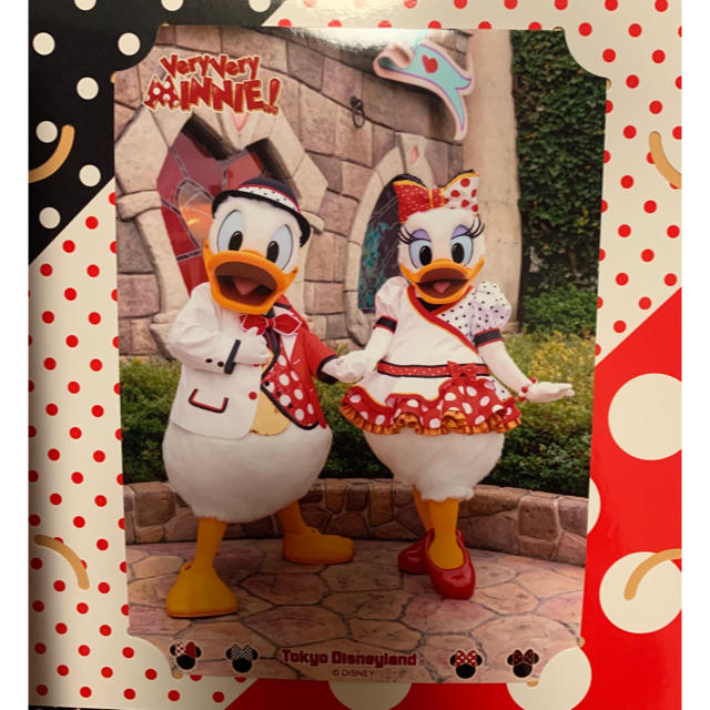 Disney(ディズニー)の★ロッツォ様専用★ ベリーベリーミニー　フォトアルバム 写真付 エンタメ/ホビーの美術品/アンティーク(写真)の商品写真