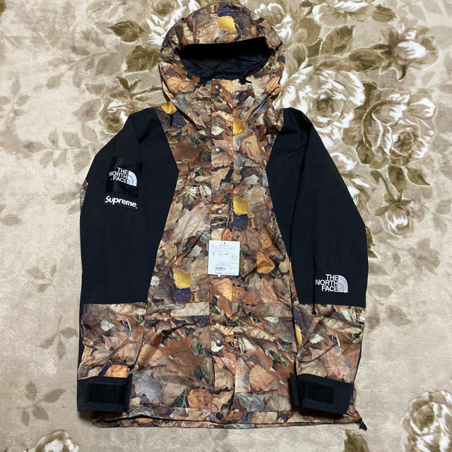 Supreme The North Face マウンテンパーカー 枯葉 Lサイズ