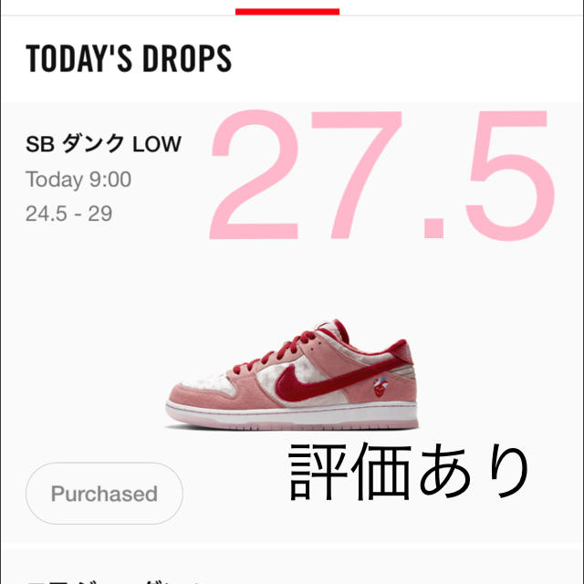 NIKE SB DUNK low strange love 27.5