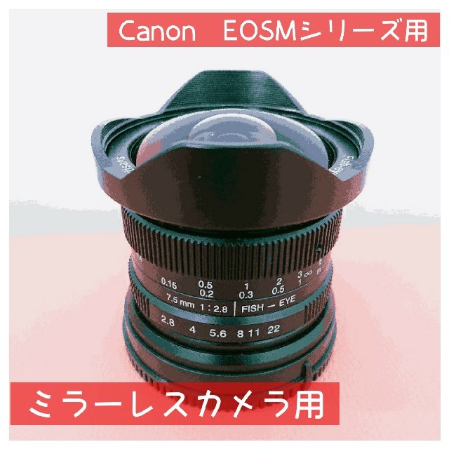 魚眼レンズ！Canonミラーレス対応！サードパーティ！セール！簡単！初心者OK！