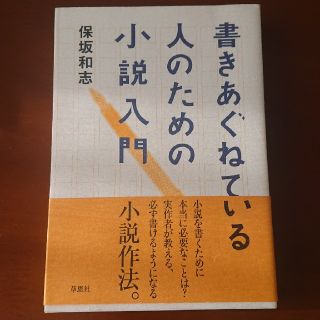 書きあぐねている人のための小説入門(人文/社会)