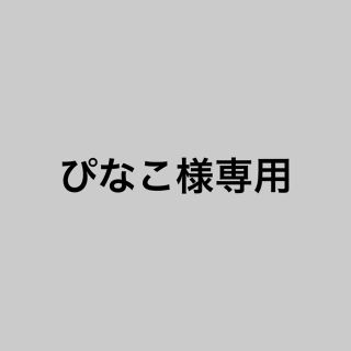 ぴなこ様専用(ピアス)