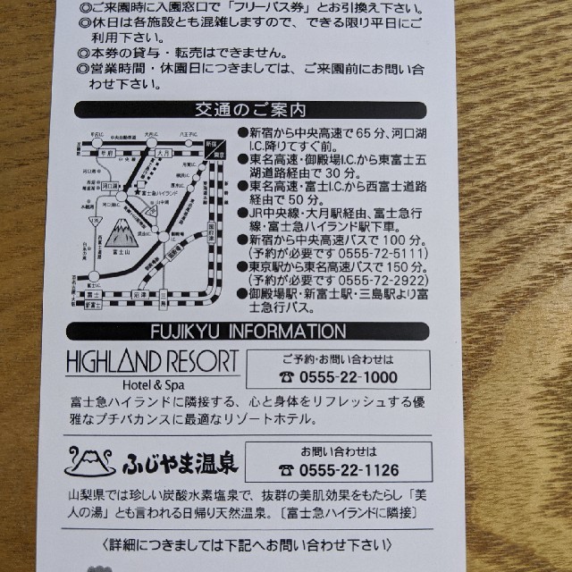富士急ハイランド フリーパス ペア券 チケットの施設利用券(遊園地/テーマパーク)の商品写真