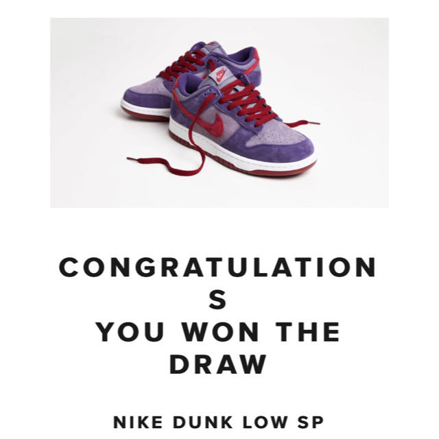 NIKE DUNK LOW "PLUM" UK7.5 26.5