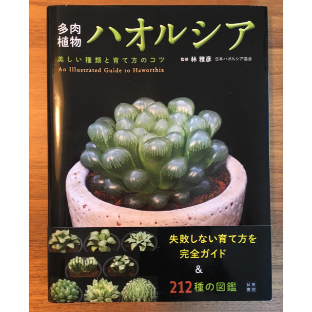 【専用出品】日本ハオルシア協会監修 失敗しない育て方ガイド 本 エンタメ/ホビーの本(住まい/暮らし/子育て)の商品写真