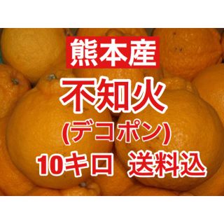 熊本産 不知火（デコポン）訳あり約10キロ 送料込み(フルーツ)