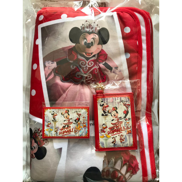Disney(ディズニー)のベリーベリーミニー ブランケット パスケース フォトプロップスカード 3点セット エンタメ/ホビーのおもちゃ/ぬいぐるみ(キャラクターグッズ)の商品写真