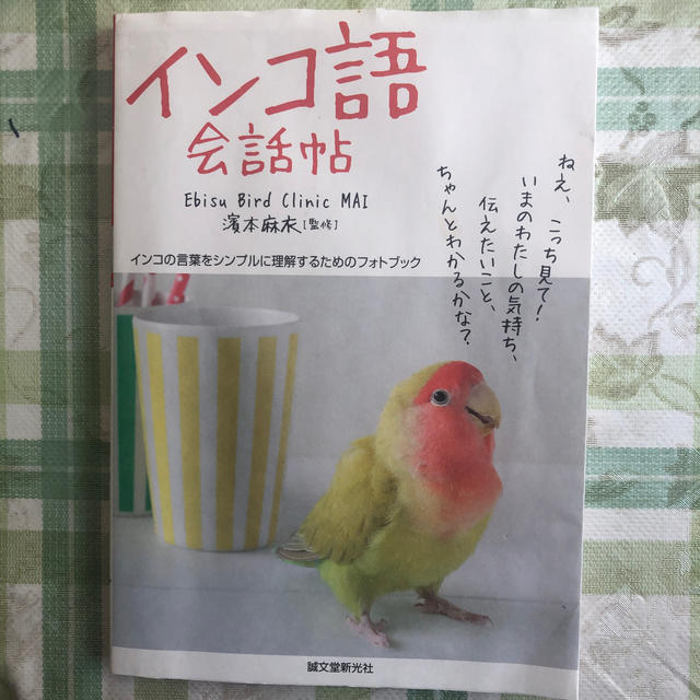 インコ語会話帖 インコの言葉をシンプルに理解するためのフォトブック エンタメ/ホビーの本(住まい/暮らし/子育て)の商品写真