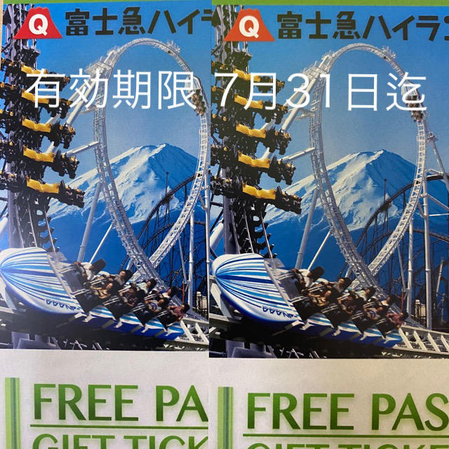 富士急ハイランドフリーパス ペア チケット 2枚セット 7月31日まで有効期限