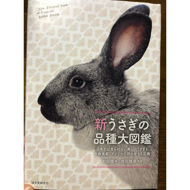 新うさぎの品種大図鑑 エンタメ/ホビーの本(その他)の商品写真