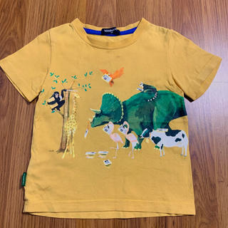 クレードスコープ(kladskap)のクレードスコープ 恐竜&動物Tシャツ 100 トリケラトプス kladskap(Tシャツ/カットソー)