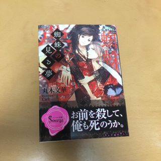 蜘蛛の見る夢(文学/小説)