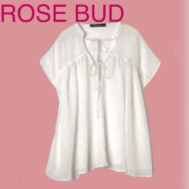 ROSE BUD(ローズバッド)の定価6400円 新品 ローズバッド 抜き襟 シアー ブラウス チュニック レディースのトップス(シャツ/ブラウス(長袖/七分))の商品写真