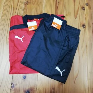 プーマ(PUMA)のPUMA【sport lifestyle Men's】上下セット(ジャージ)