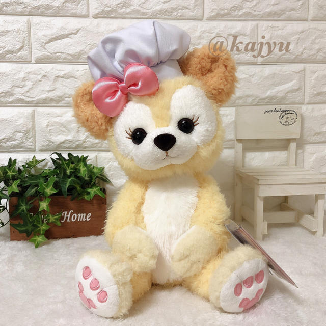 Disney - 東京ディズニーシー 正規品 クッキーアン ぬいぐるみ Sサイズ