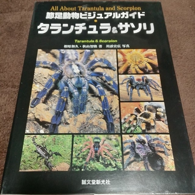 代引き手数料無料 節足動物ビジュアルガイド タランチュラ&サソリ 語学