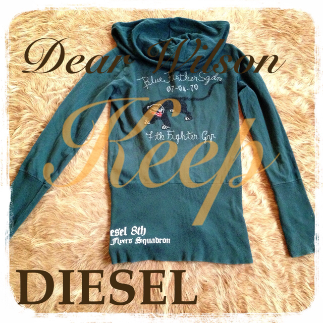 DIESEL(ディーゼル)のHOODIE&JK forWilson♡ レディースのトップス(パーカー)の商品写真