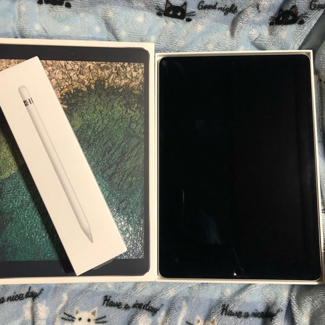 iPad Pro 10.5inch 256GB Apple Pencil