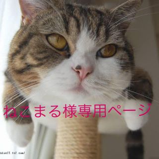 ロイヤルカナン(ROYAL CANIN)のロイヤルカナン キャットフード(ペットフード)