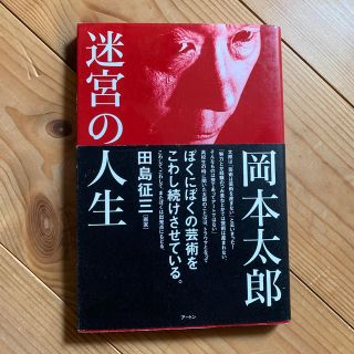 迷宮の人生(文学/小説)