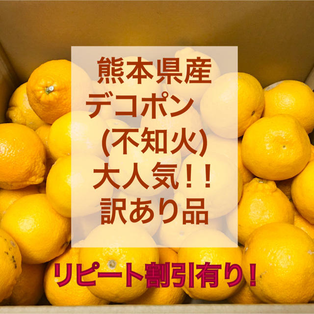 熊本県産　デコポン　20k 食品/飲料/酒の食品(フルーツ)の商品写真