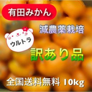 katemoska様【有田みかん】減農薬ジャンク品《特別企画》はい。アーンして♡(フルーツ)