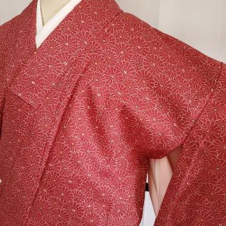 672ー105D番#最終値下げ#洗える着物#小紋#菊柄#単衣#お買い得品(着物)