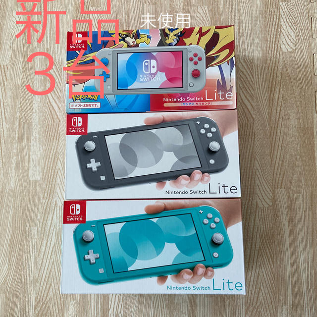 ゲームソフ Nintendo Switch Lite ザシアン・ザマゼンタ、グレー、ターコイの エンタメ